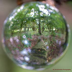 Glaswerk/fotograferen door kristal.jpg